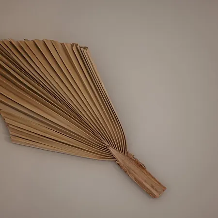 5 Beaumont - Magnifique 3p Au Style Boheme - Quartier Garibaldi アパート